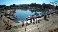 Novigrad - Mandrač