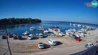 Savudrija - Marina