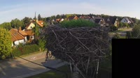 Miniatiūra