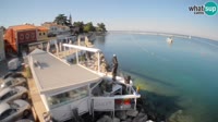 Novigrad - Porporela