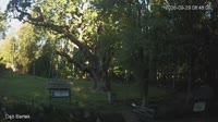 Zagnańsk - Bartekas