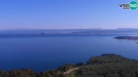 Izola - Panorama