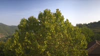 Bosia - Panorama