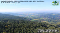 Maibrunn - Waldwipfelweg - Bavarijos miškas