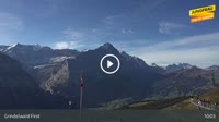 Grindelwald - First