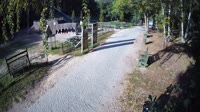 Miško parkas