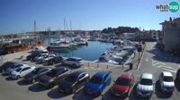 Novigrad - Porporela Marina