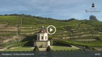 Radebeul - Wackerbarth pilis