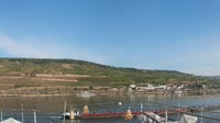 Bingen am Rhein - Rzeka Ren