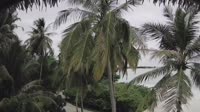 Akasdhoo - Hard Rock Hotel Maldives