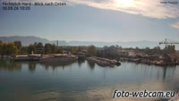 Hard - Hafen