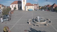 Dobřany - Náměstí, biotop