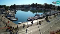 Novigrad - Mandrač