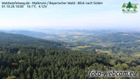 Maibrunn - Waldwipfelweg - Bavarijos miškas