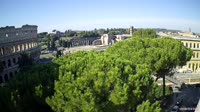 Roma - Koliziejus