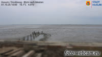 Husum - Dockkoog