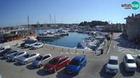 Novigrad - Porporela Marina