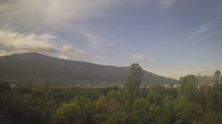 Sofia - Hladilnika