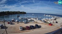 Savudrija - Marina