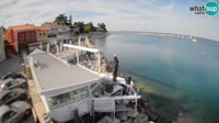 Novigrad - Porporela