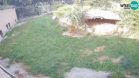 Miniaturansicht