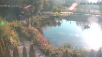 Rąbień - Staw