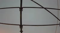 Milanas - Piazza Cinque Giornate