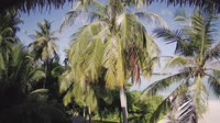 Akasdhoo - Hard Rock Hotel Maldives