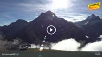 Grindelwald - First
