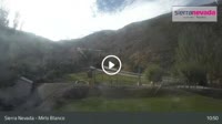 Sierra Nevada - Mirlo Blanco