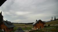 Oberharz am Brocken - Tanne