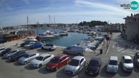 Novigrad - Porporela Marina
