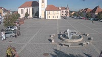 Dobřany - Náměstí, biotop