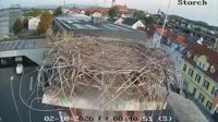 Miniaturansicht