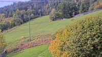 Miniatiūra