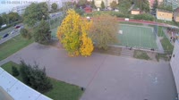 Miniatura