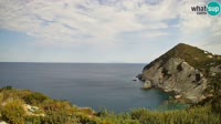 Ponza - Cala Cecata