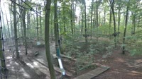 Haltern am See - Kletterwald Haltern
