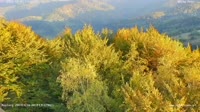Ochotnica Dolna - apžvalgos bokštai