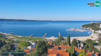 Miniatiūra