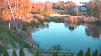 Rąbień - Staw