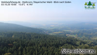 Maibrunn - Waldwipfelweg - Bavarijos miškas