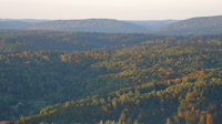 Miniatiūra