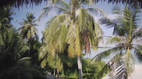 Akasdhoo - Hard Rock Hotel Maldives