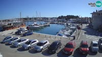 Novigrad - Porporela Marina
