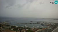 Roses - Port