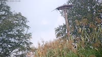 Grabenstätt - Winkl - Cicogne