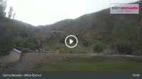Sierra Nevada - Mirlo Blanco