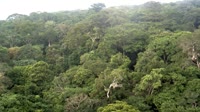 Riserva della biosfera di Yangambi
