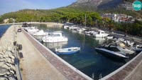 Svogoschia - Blato Marina
